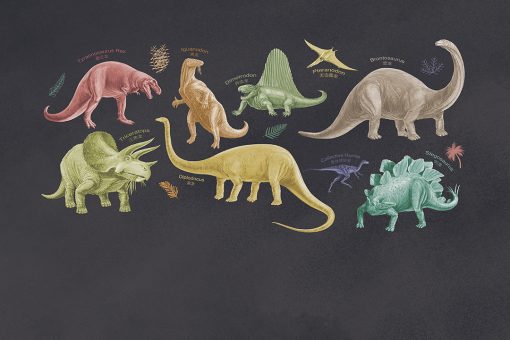 Kids Murals