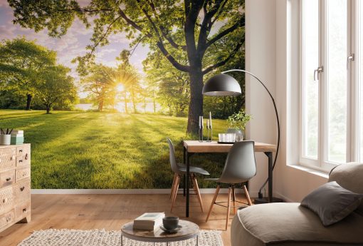 Wall Murals