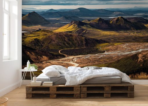 Wall Murals