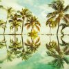 Wall Murals