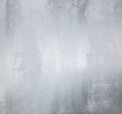 Wall Murals