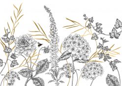 Wall Murals