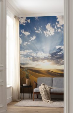 Wall Murals