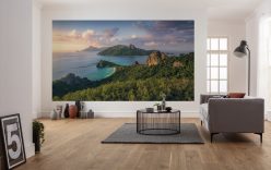 Wall Murals