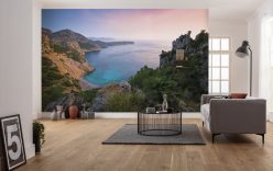 Wall Murals