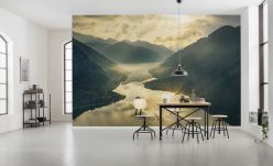 Wall Murals