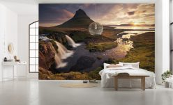 Wall Murals