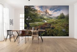 Wall Murals