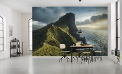 Wall Murals