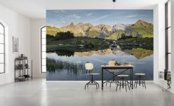 Wall Murals