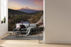 Wall Murals