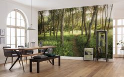 Wall Murals
