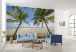 Wall Murals