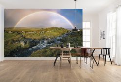 Wall Murals