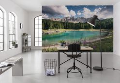 Wall Murals