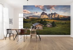 Wall Murals
