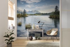 Wall Murals