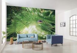 Wall Murals