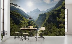 Wall Murals