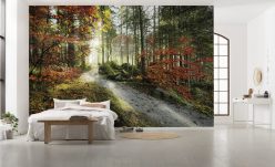 Wall Murals