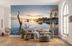 Wall Murals