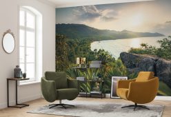 Wall Murals