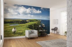 Wall Murals
