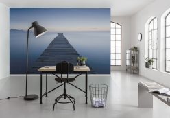 Wall Murals