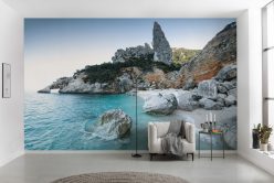 Wall Murals