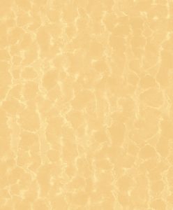 YKNW-0294